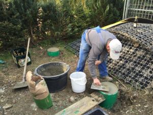 Arbeitseinsatz-04-2016 (23).jpg