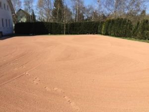 Arbeitseinsatz-04-2016 (40).jpg