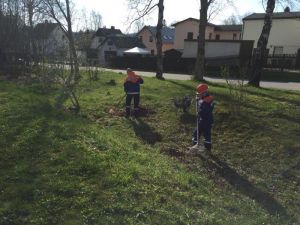 IMG_0967.jpg