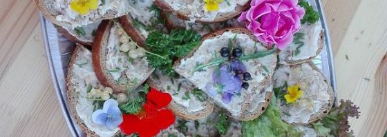 38. Wanderveranstaltung im Feuerwehrhaus